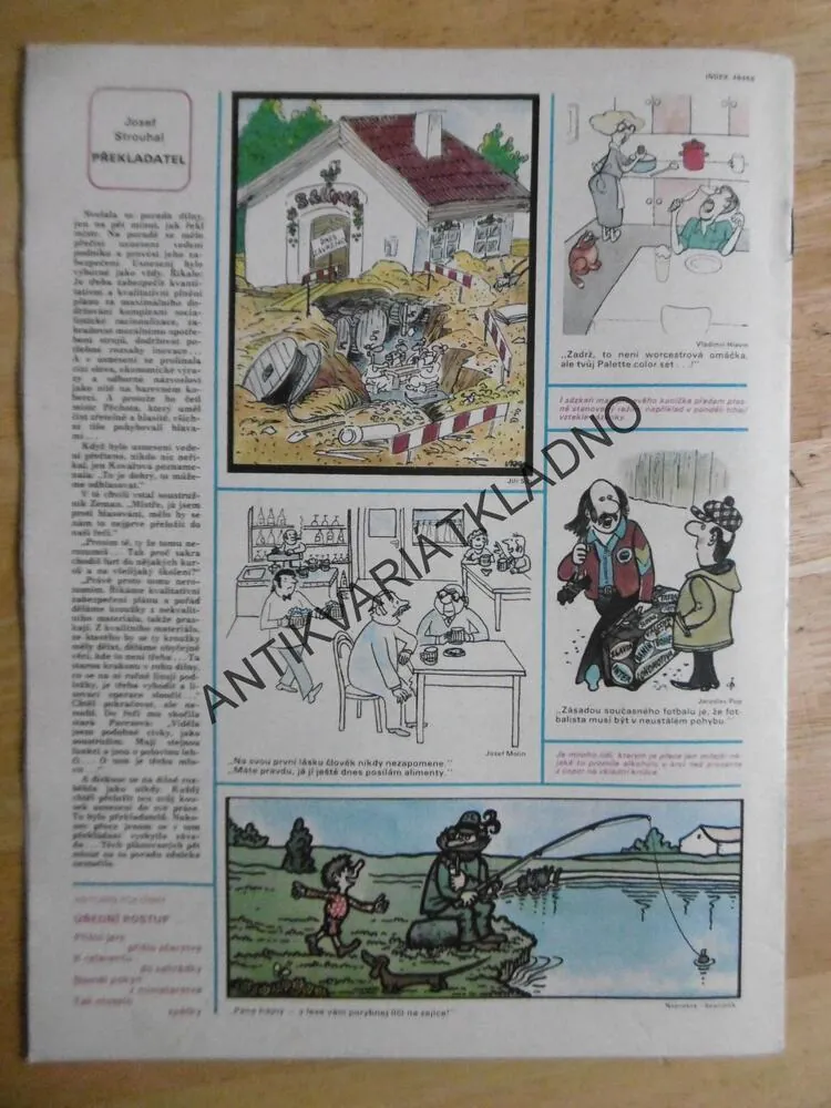 DIKOBRAZ 21/1980