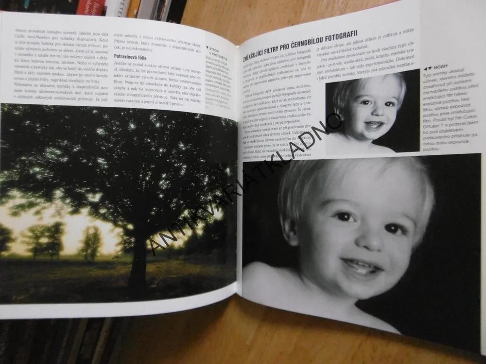 NAUČTE SE FOTOGRAFOVAT DOBŘE S FILTRY, LEE FROST, **an