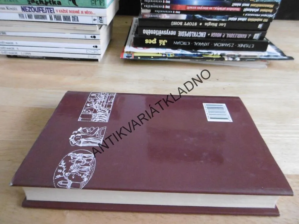 PLAMEN DUŠE, BARBARA WOODOVÁ, **an