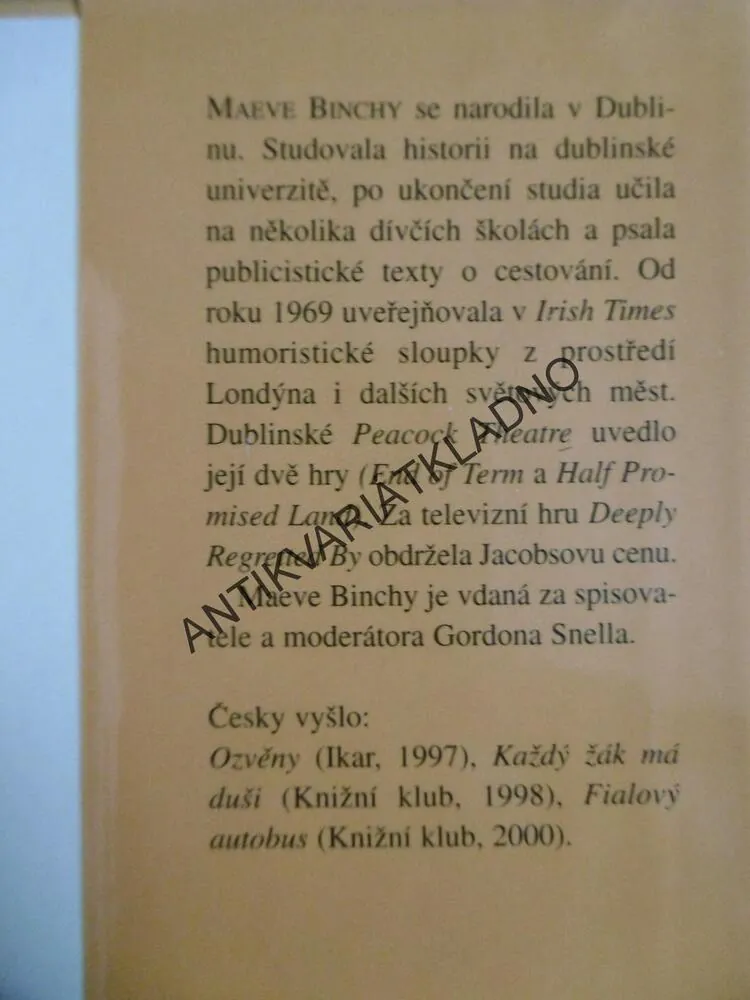 NEZAPOMENUTELNÉ LÉTO, MAEVE BINCHY, **an
