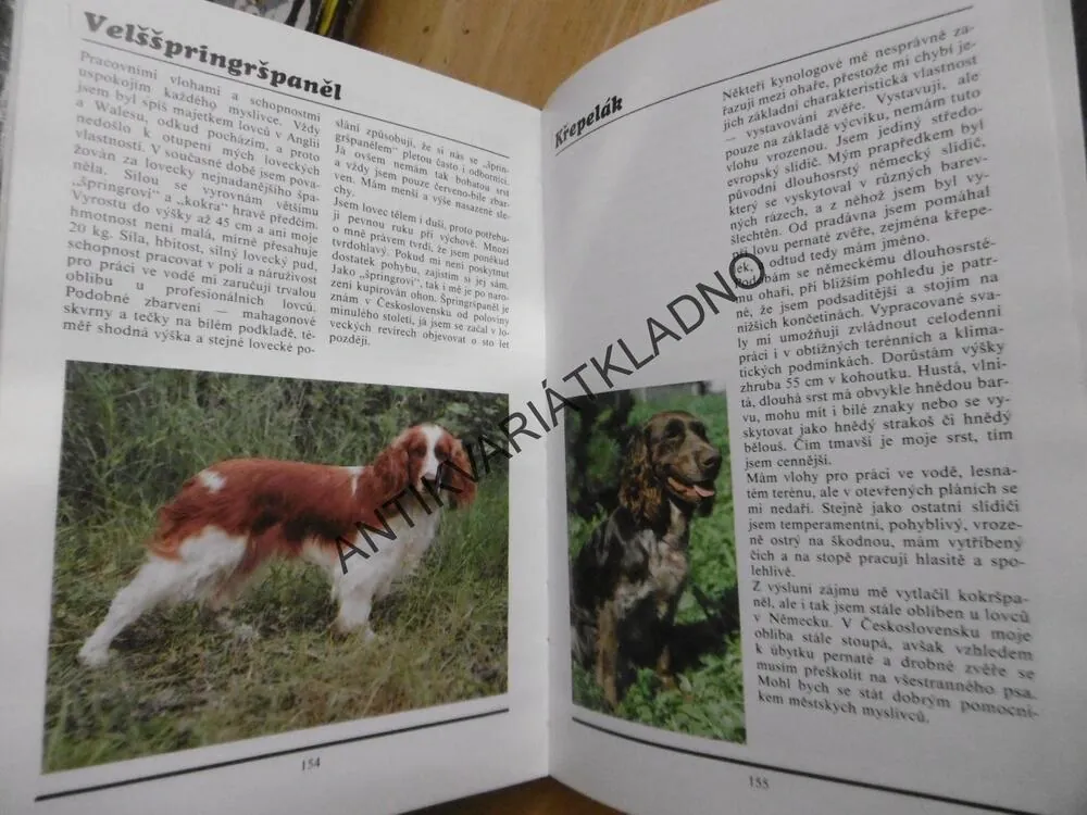 JÁ PES, E.TYLÍNEK, **an