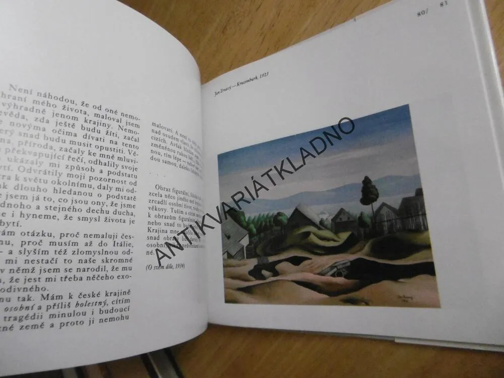 OBRAZY MÉ KRAJINY, NAVRÁTIL, MÁNES, BUBÁK A DALŠÍ, **an