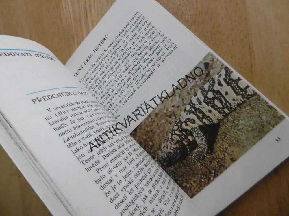ZVÍŘATA CELÉHO SVĚTA 13, JEŠTĚŘI, JIŘÍ FELIX, **an