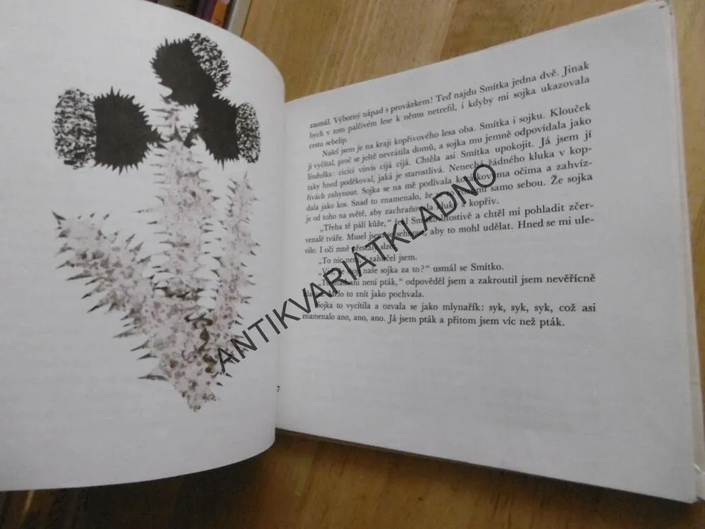 KLOUČEK SMÍTKO, BOHUMIL ŘÍHA, **an