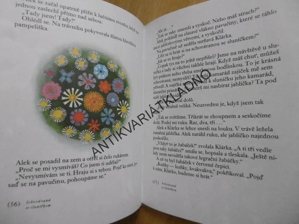 SCHOVÁVANÁ SE SLUNÍČKEM, GEORGIJ BALL, **an