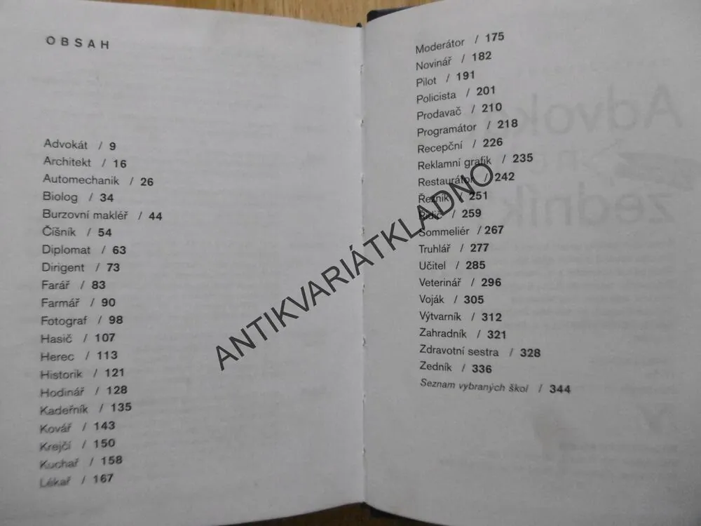 ADVOKÁT NEBO ZEDNÍK?, DAVID ŽELEZNÝ, **an