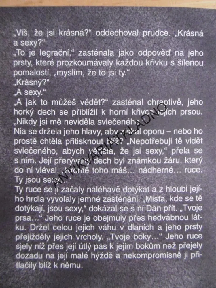BLESKOVÉ NÁMLUVY, BARBARA DELINSKY, **an
