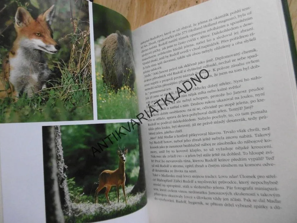 VE STOPÁCH SVATÉHO HUBERTA A JINÉ LOVECKÉ PŘÍBĚHY, **an
