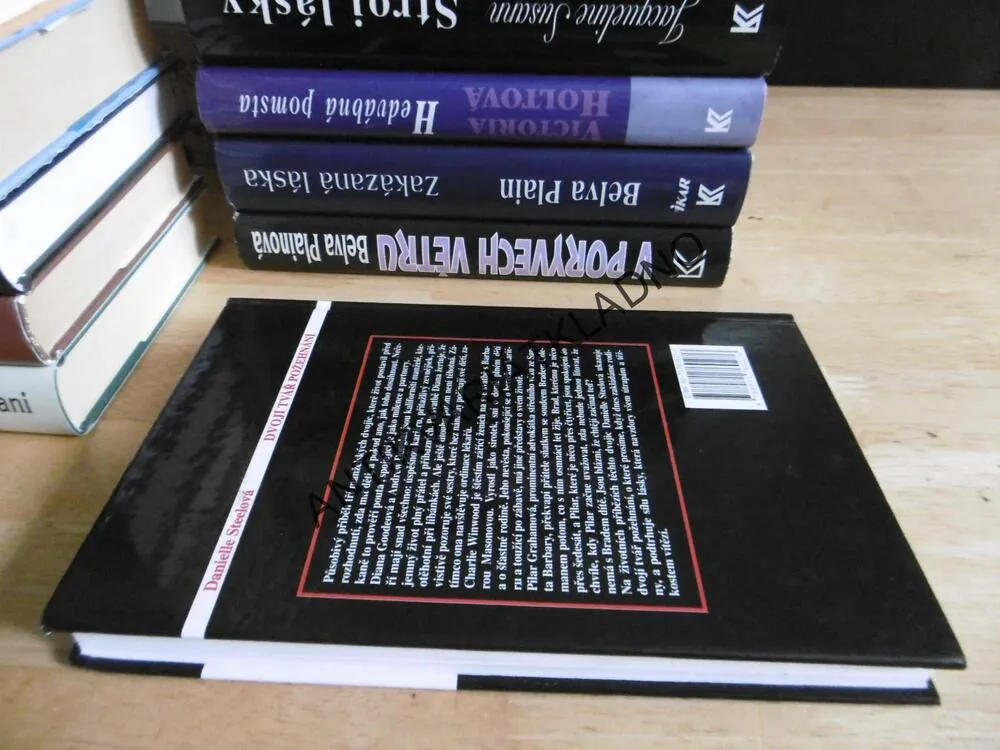 DVOJÍ TVÁŘ, POŽEHNÁNÍ, DANIELLE STEELOVÁ, **an