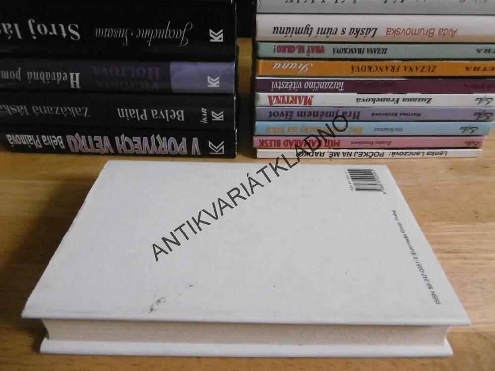 DENÍK AMERICKÉ MANŽELKY, SUE KAUFMANOVÁ, **an
