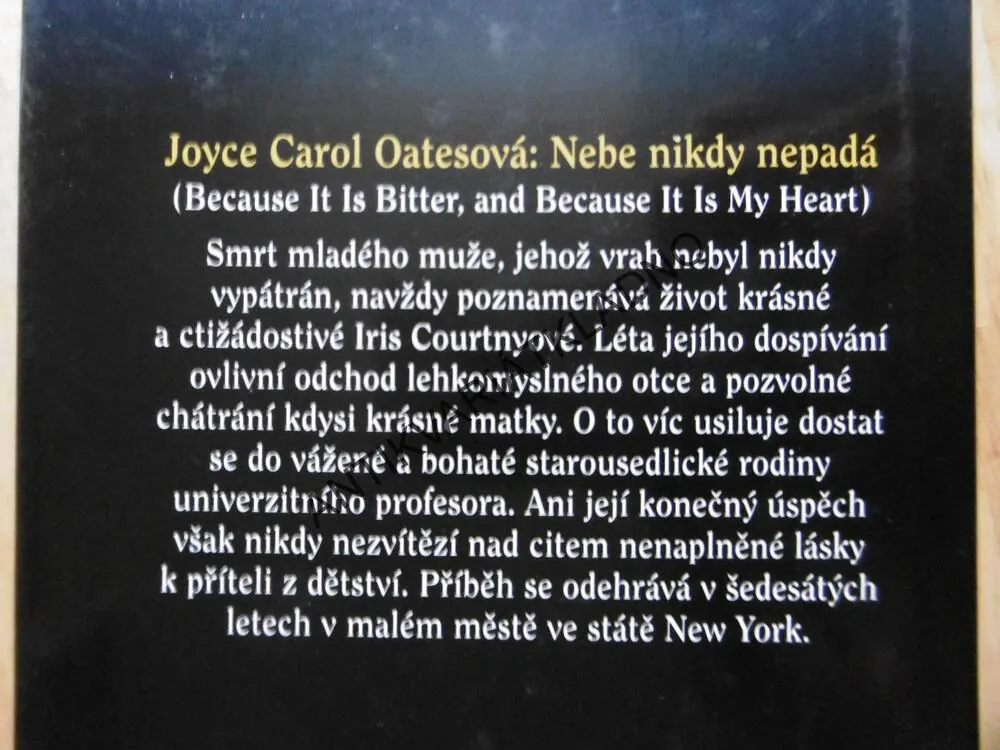 NEBE NIKDY NEPADÁ, JOYCE CAROL OATESOVÁ, **an