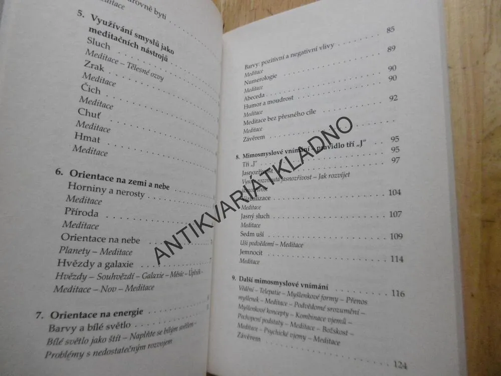 MEDITACE JAKO SPIRITUÁLNÍ TECHNIKA, GENEVIEVE L. PAULSONOVÁ, **an