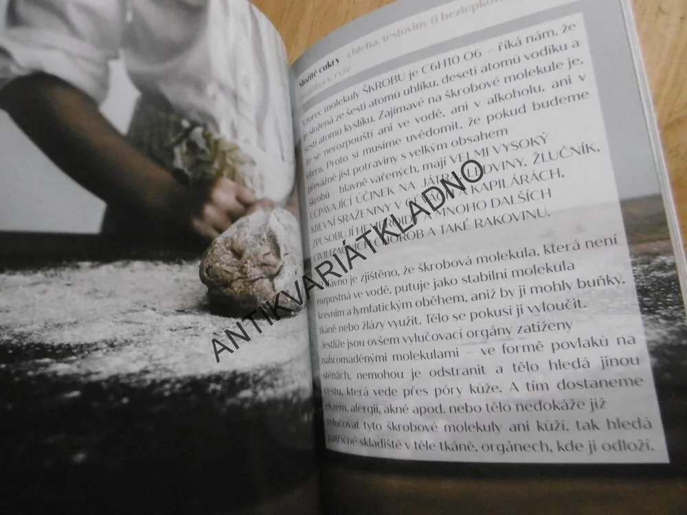VÝŽIVA - PROČ JE PRO NÁS DŮLEŽITÁ, **an
