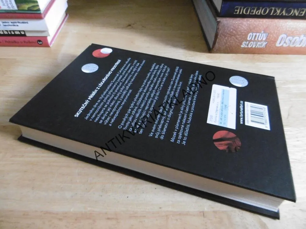 MOZEK V PLAMENECH, SUSANNAH CAHALANOVÁ, **an