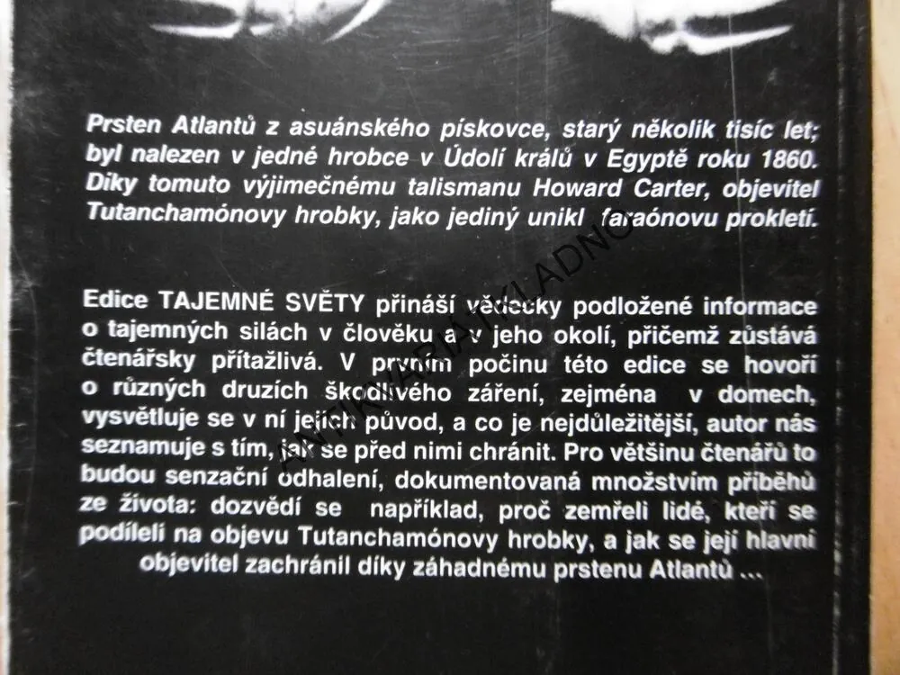DOMY, KTERÉ ZABÍJEJÍ, ROGER DE LAFFOREST, **an