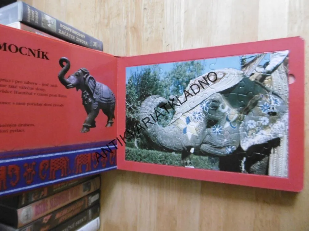 SLONI, POZNÁVÁME S PUZZLE, **an
