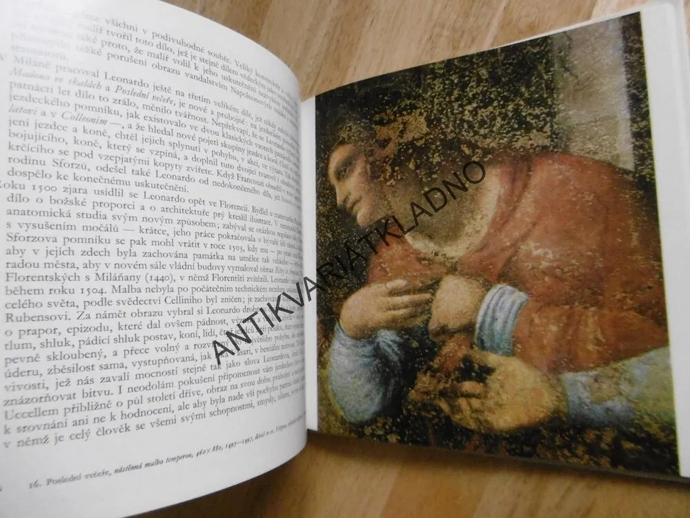 MALÁ GALERIE - LEONARDO DA VINCI, VÝTVARNÉ UMĚNÍ, **an