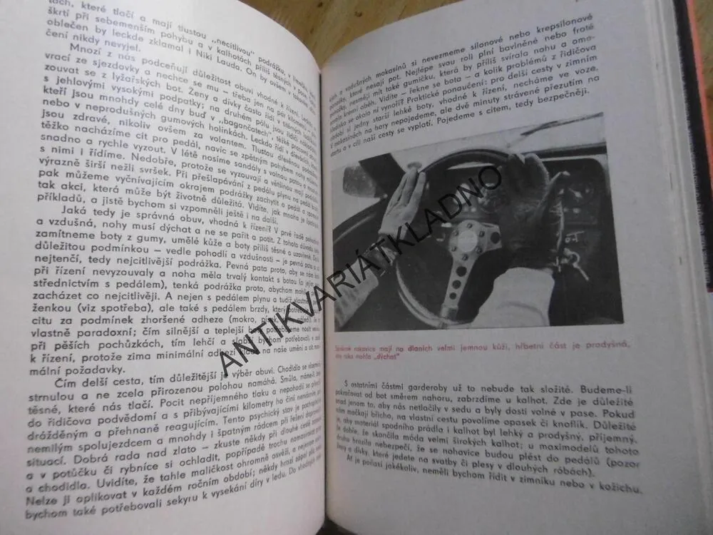 PLECHOVÉ LÁSKY, DALIBOR JANEK, **an