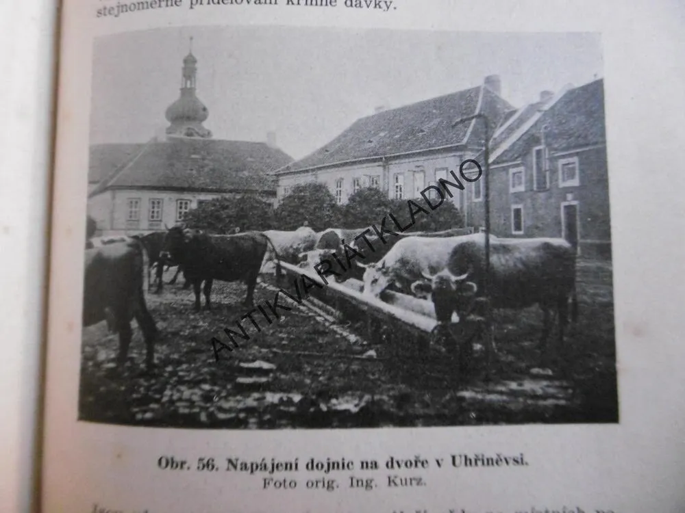 KRMNÁ TECHNIKA PRO MLÉKAŘÍCÍ ZEMĚDĚLCE, FRANTIŠEK SVOBODA, **an