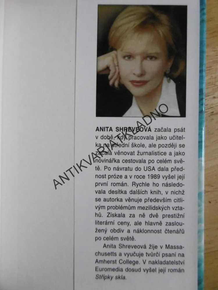 VŠE, CO SI KDY PŘÁL, ANITA SHREVEOVÁ, **an