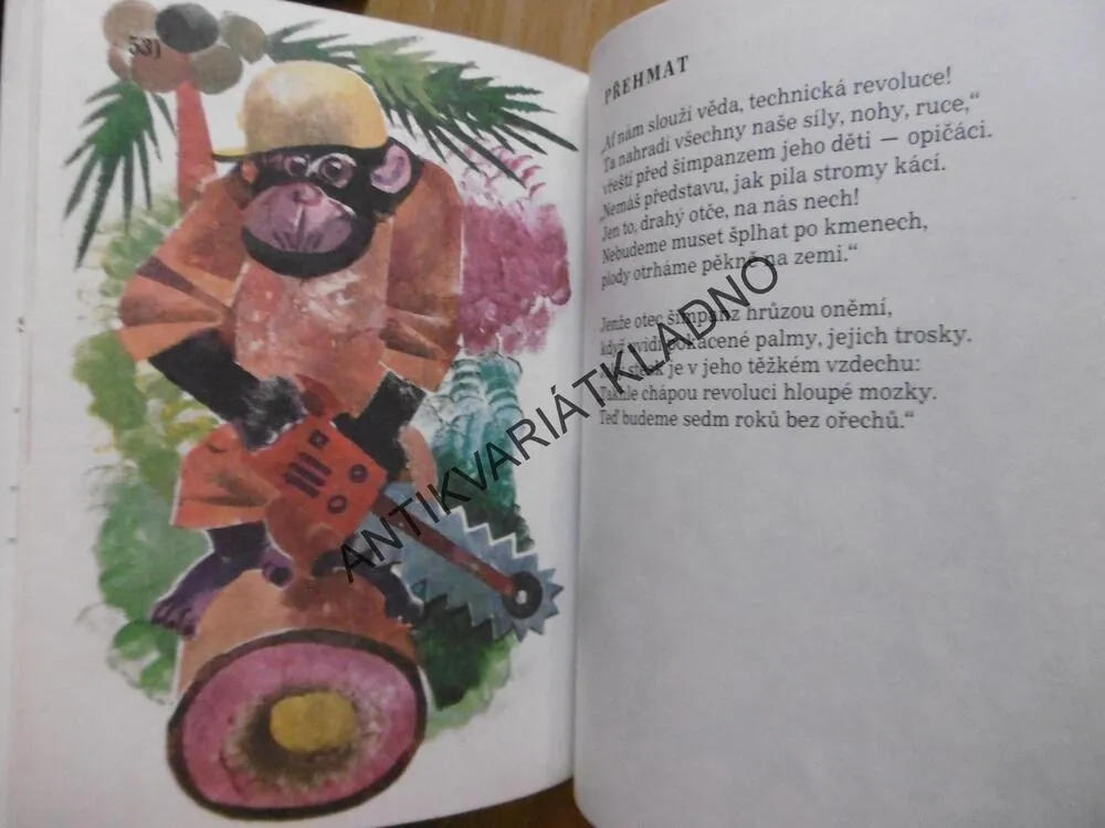 PÁTÁ KOPA BAJEK, MIROSLAV KAPEK, **an