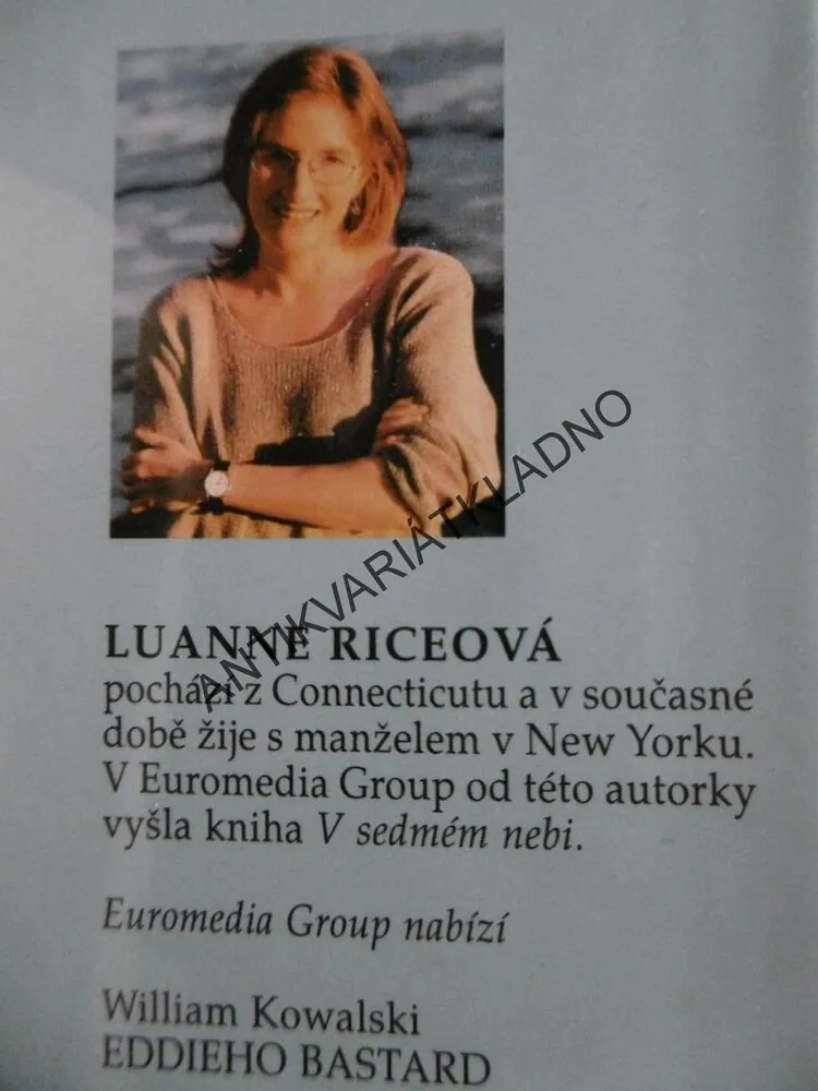 HRADY Z PÍSKU, LUANNE RICEOVÁ, **an