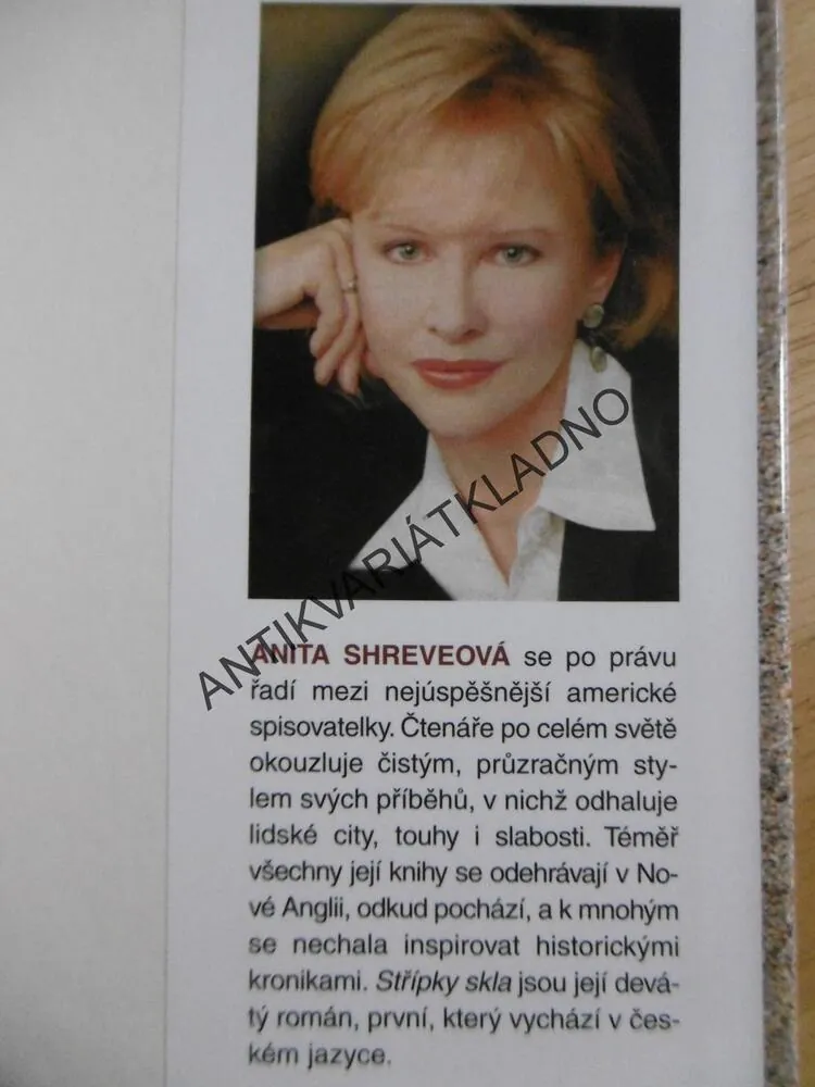 STŘÍPKY SKLA, ANITA SHREVEOVÁ, **an