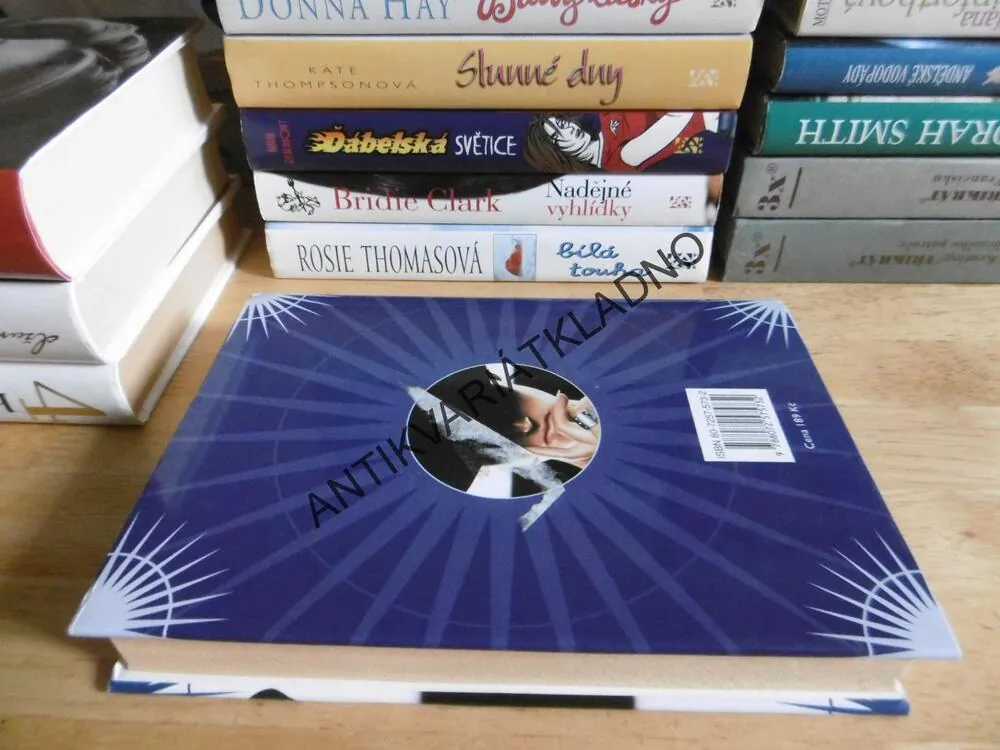 TAJEMNÝ CIZINEC, KATE THOMPSONOVÁ, **an