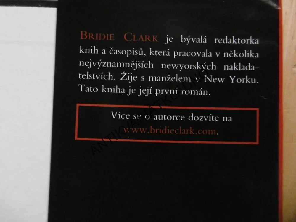 NADĚJNÉ VYHLÍDKY, BRIDIE CLARK, **an