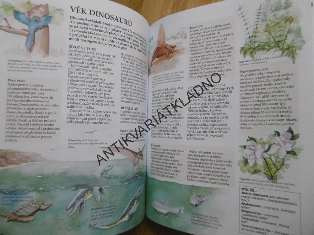 ŠKOLNÍ ENCYKLOPEDIE, 96 TÉMAT, 600 ILUSTRACÍ, 550 HESEL, 
