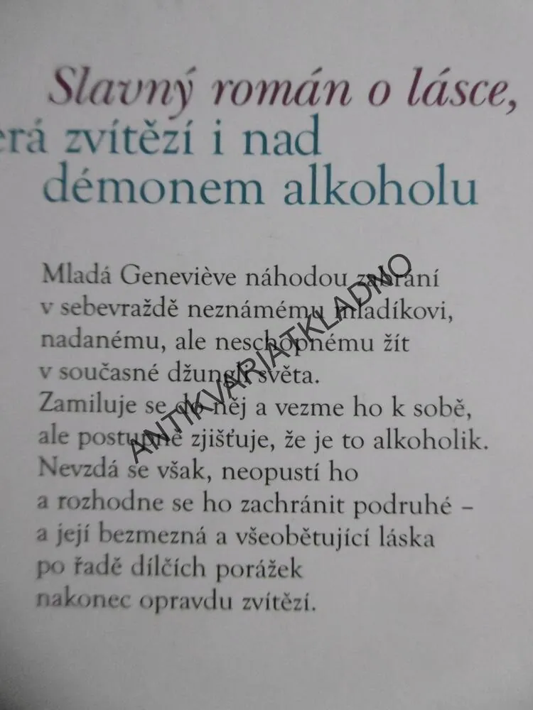 ODPOČINEK VÁLEČNÍKA, CHRISTIANE ROCHEFORTOVÁ, **an