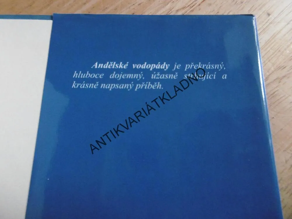 ANDĚLSKÉ VODOPÁDY, KRISTIN HANNAH, **an