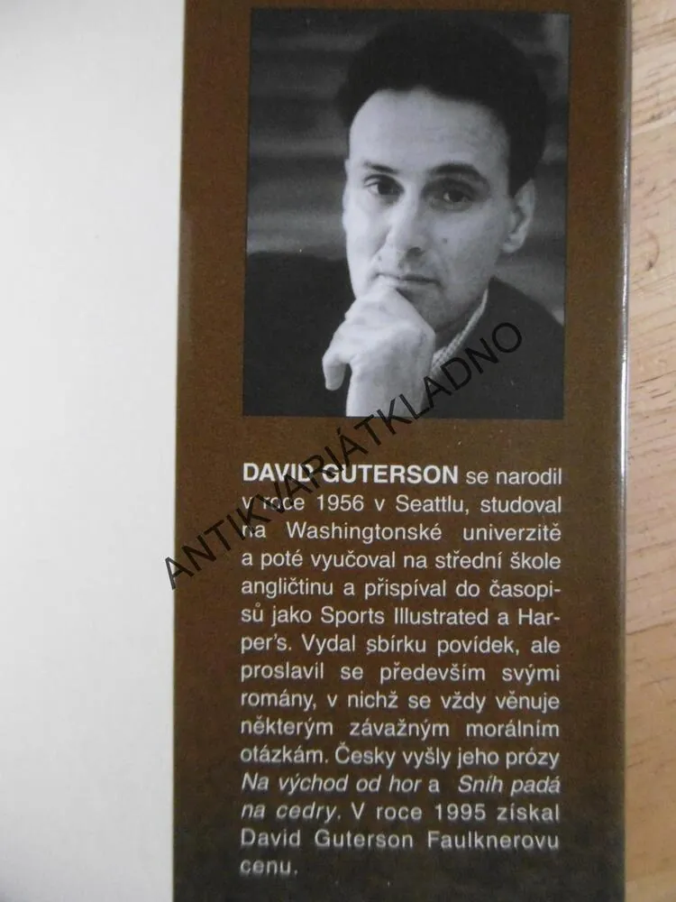 PANNA MARIA Z LESŮ, DAVID GUTERSON, **an