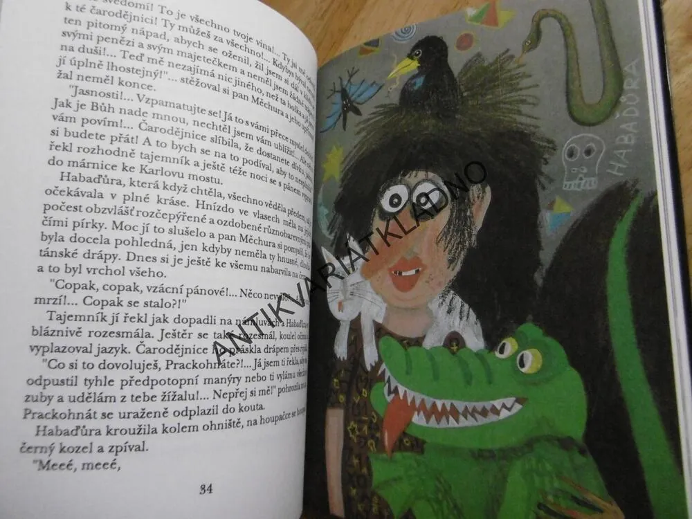 BRATŘÍČEK GOLEM, EVA HUDEČKOVÁ, 