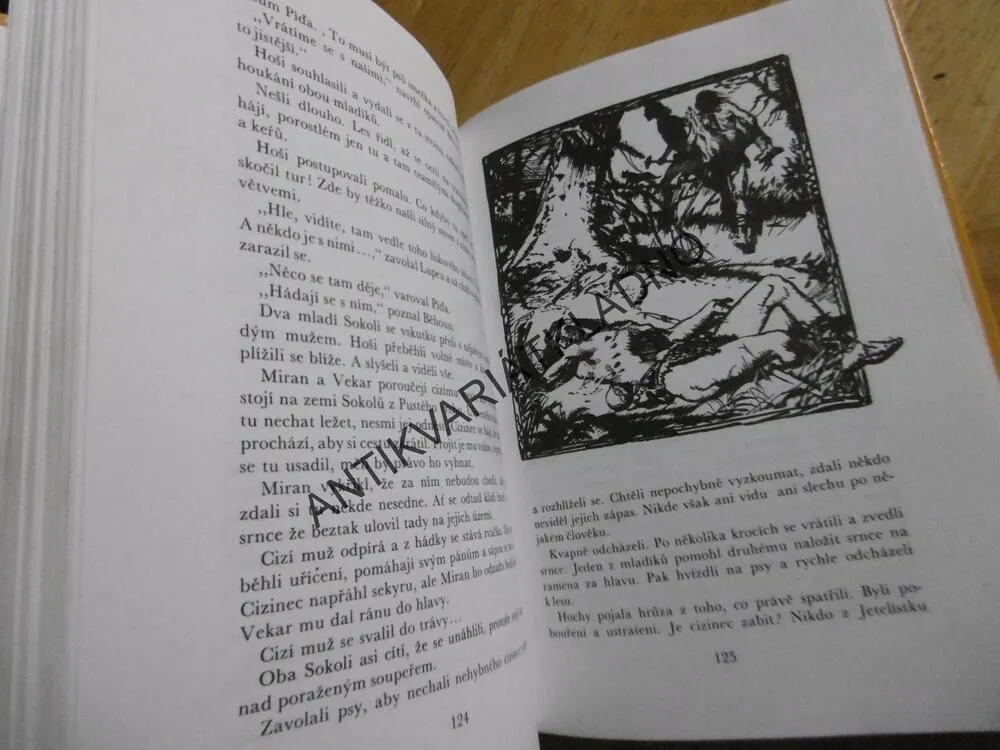 MINEHAVA, EDUARD ŠTORCH, **an