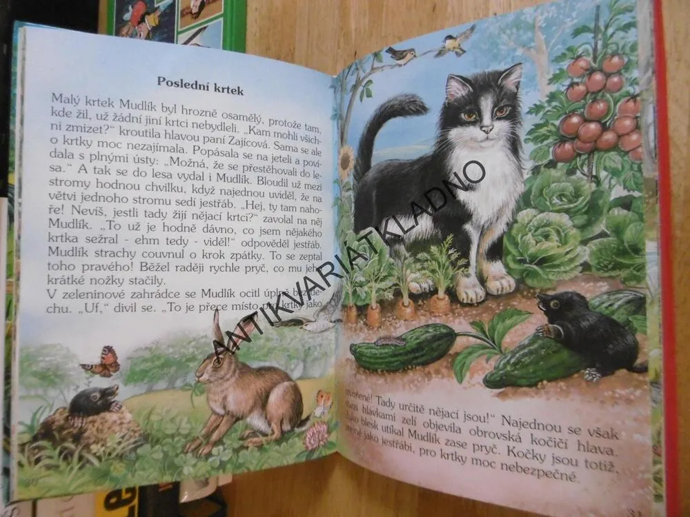 POVÍDÁNÍ O ZVÍŘÁTKÁCH, **an