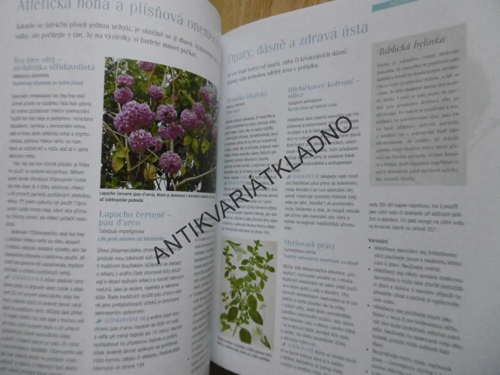 VELKÁ KNIHA BYLINEK, HERBÁŘ, BYLINKY, MEDICÍNA, KOSMETIKA, RECEPTY, VÝBĚR, **an