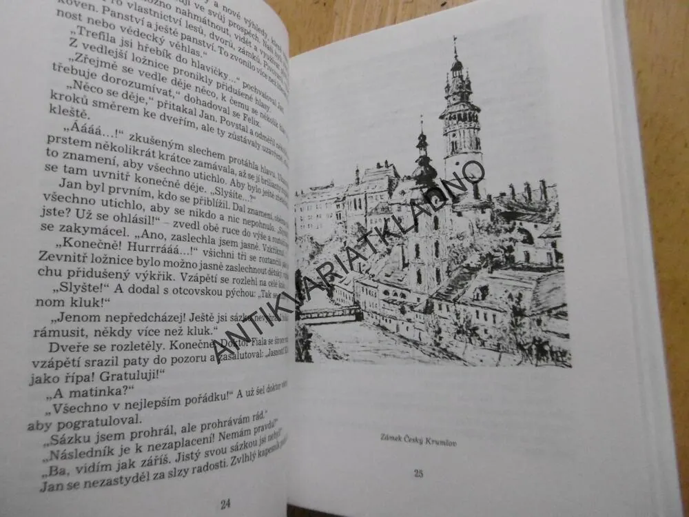 POSLEDNÍ NA HLUBOKÉ, F. X. HAVLÍČEK, **an