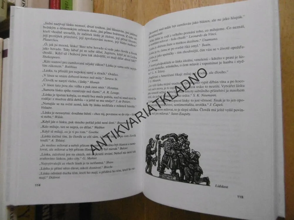 VELKÝ SLOVNÍK CITÁTŮ A PŘÍSLOVÍ, JIŘÍ PLACHETKA, **an