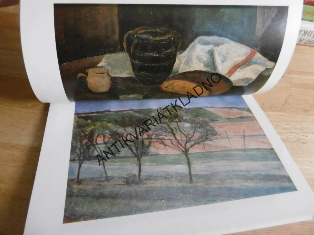 VÁCLAV RABAS, KRONIKA JEHO ŽIVOTA A DÍLA (1885 - 1954)