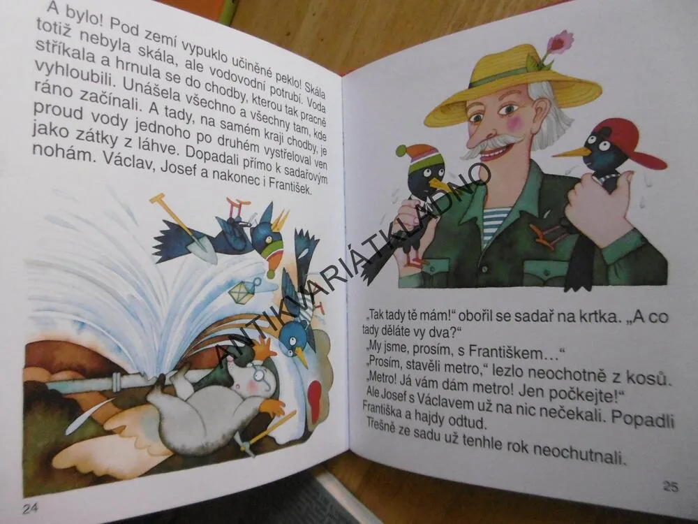 KOSÍ BRATŘI, LUDVÍK STŘEDA, MARIE TICHÁ, **an