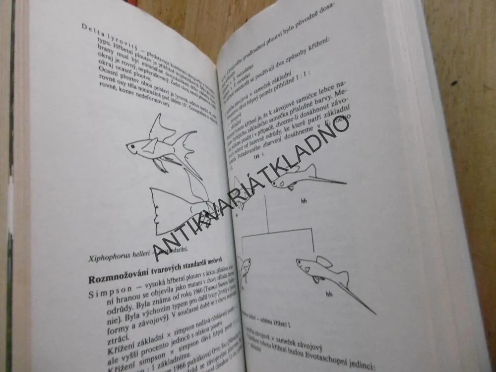 ŽIVORODKY, NORBERT DOKOUPIL, **an