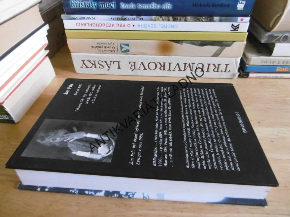 HOLIČKA NA HOLIČKÁCH, MATYLDA MONIKA HRDÁ, **an