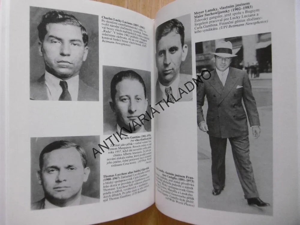 DYNASTIE MAFIE, VZESTUP A PÁD RODINY GAMBINO, JOHN H. DAVIS, **an