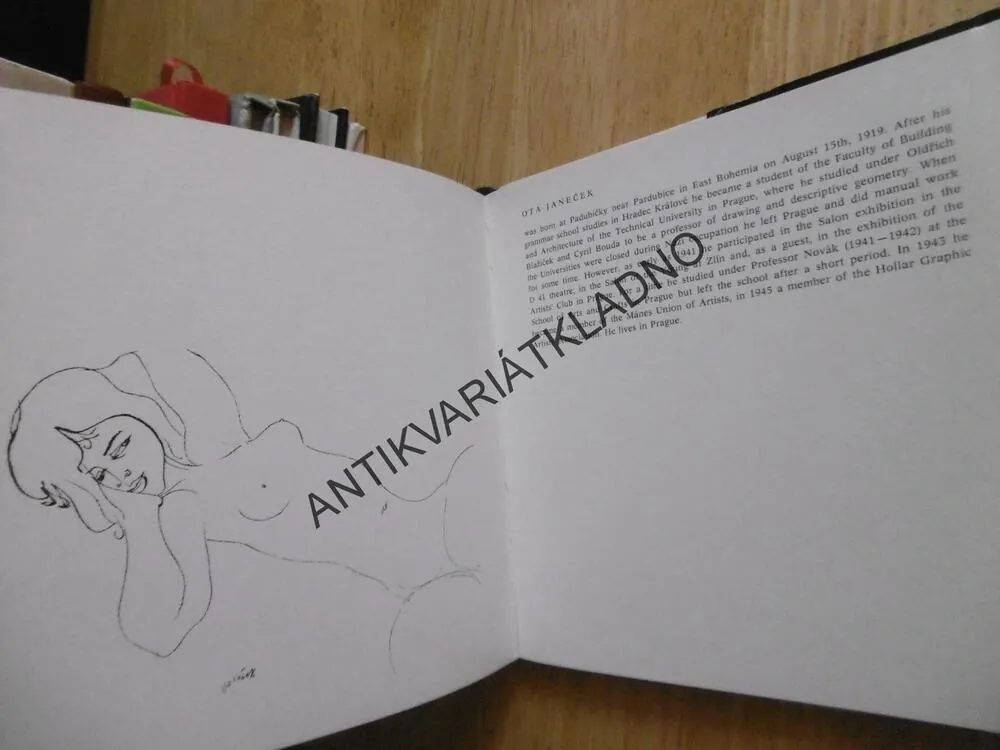 OTA JANEČEK, PETR HARTMANN, 1973, VÝTVARNÉ UMĚNÍ