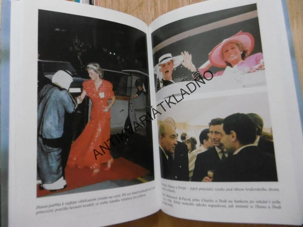 DIANA A DODI, OSUDOVÁ SETKÁNÍ, ODILE A PHILIPPER VERDIEROVI, **an