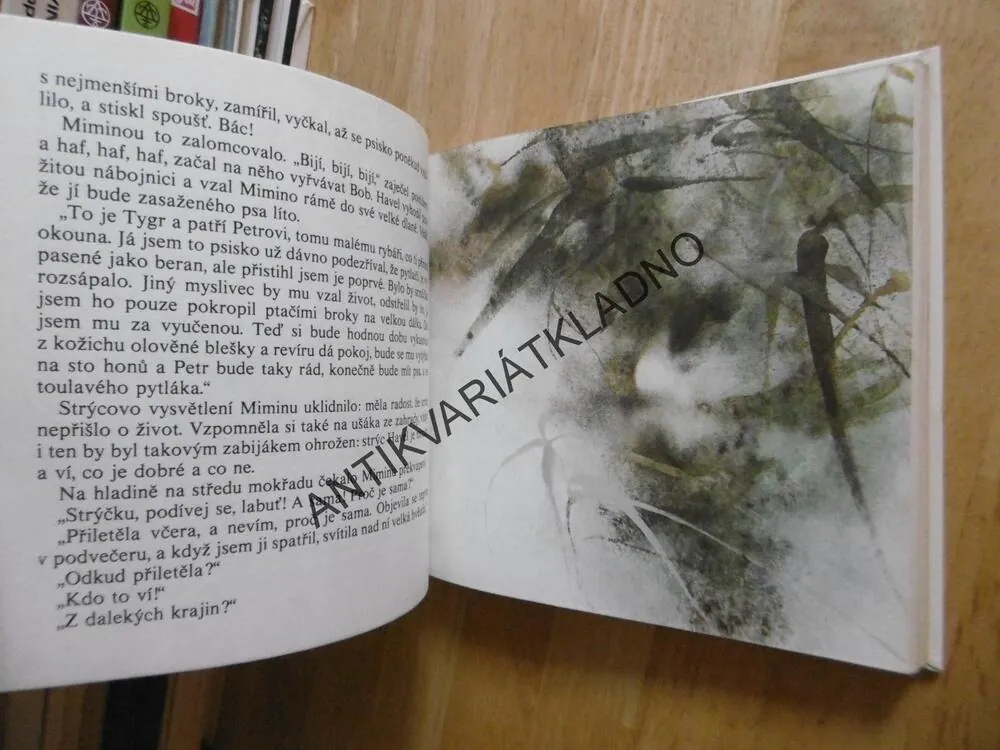 LABUTÍ OBLAKA, JAROMÍR TOMEČEK, ZDENĚK BRDLÍK, **an