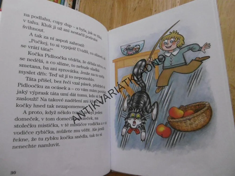 NEPLECHATÉ POHÁDKY, LJUBA ŠTÍPLOVÁ, MARCELA WALTEROVÁ, **an