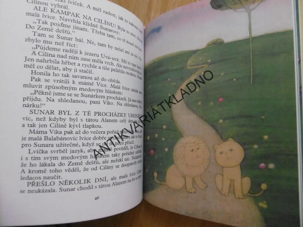 KUDY CHODÍ MALÝ LEV, HANA DOSKOČILOVÁ, **an