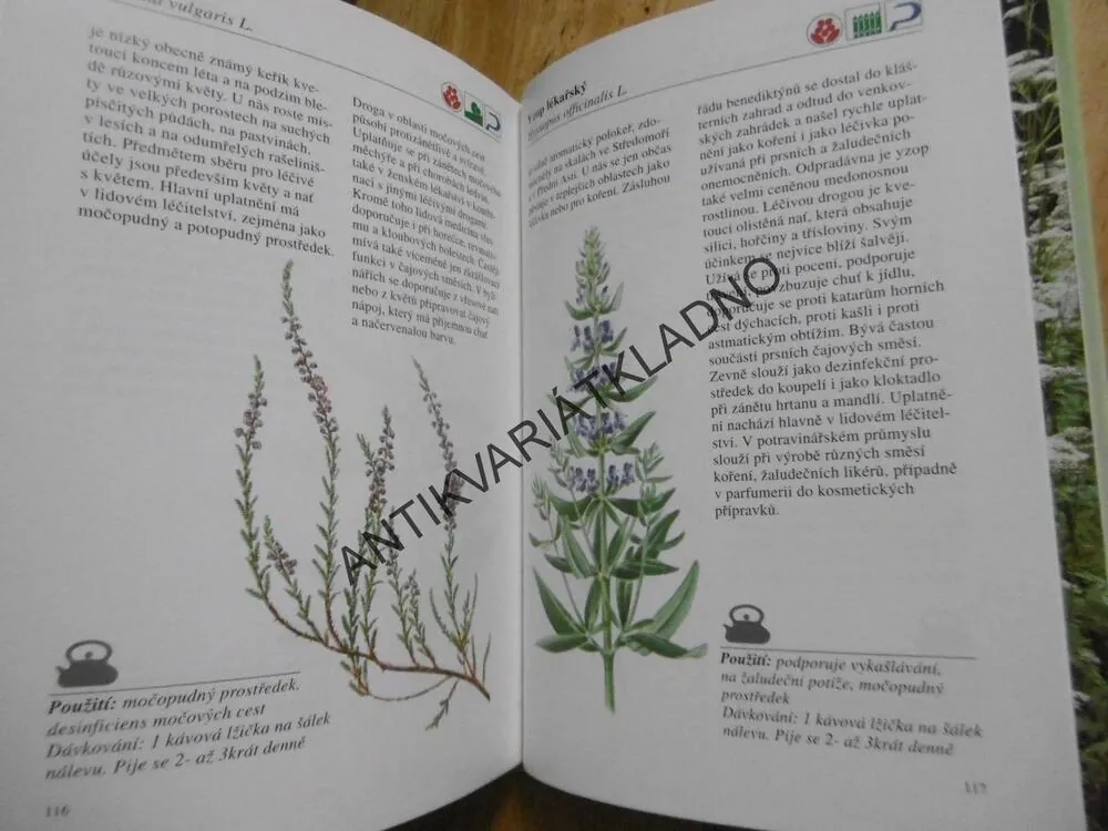LÉČIVÉ ROSTLINY A ČAJOVÉ SMĚSI, VRATISLAV ŠUK, **an